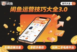 闲鱼运营技巧大全3.0，引爆店铺流量，手把手教你玩转二手电商平台-琴书聊项目