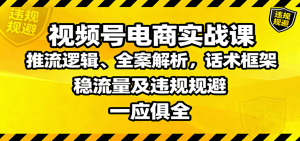 视频号电商实战课：推流逻辑、全案解析，话术框架，稳流量及违规规避等-琴书聊项目