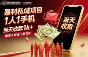 暴利私域项目1人1手机，当天收款1k+，需求人群占比高，当天就能见到钱-琴书聊项目