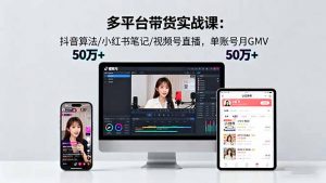 多平台带货实战课18.0：抖音算法/小红书笔记/视频号直播，单账号月GMV50w+-琴书聊项目