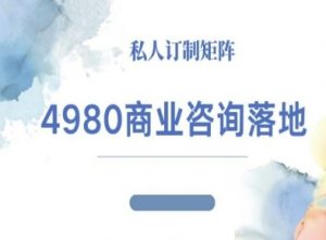 4980商业咨询师落地课程-ip运营高客单教程-琴书聊项目