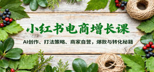 小红书电商增长课：AI创作、打法策略、商家自营，爆款与转化秘籍-琴书聊项目
