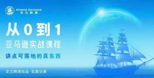 从0-1亚马逊实战课程，亚马逊从0-1，从1-10实操变现-琴书聊项目