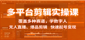 多平台剪辑实操课：覆盖多种赛道，学数字人、无人直播、爆品剪辑，快速起号变现-琴书聊项目