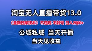淘宝无人直播13.0，公域私域技术，不封号，不违规布局下半年旺季赛道，日入1K+(独家技术)【揭秘】-琴书聊项目