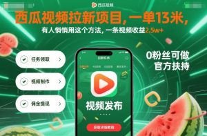 西瓜视频拉新项目,一单13米,有人悄悄用这个方法,一条视频收益2.5w+(附详细教程)-琴书聊项目