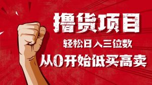 手把手教你撸货,从0开始低买高卖,小白轻松实现日入三位数!!!-琴书聊项目