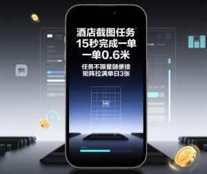 酒店截图任务，15秒完成一单，一单0.6米，任务不限量随便接，矩阵拉满单日3张【揭秘】-琴书聊项目