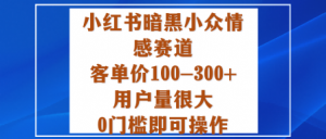 小红书暗黑小众情感赛道，客单价100-300+用户量很大，0门槛即可操作-琴书聊项目