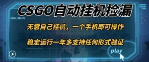 游戏自动挂G捡漏，一个手机即可操作，当天可操作见到结果，新手小白轻松月入1W+【揭秘】-琴书聊项目