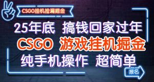 25年底搞钱回家过年，CSGO游戏挂机掘金，纯手机操作超简单-琴书聊项目