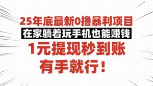 25年底最新0撸暴利项目，在家躺着玩手机也能赚钱，1元提现秒到账，有手…-琴书聊项目