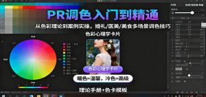 PR调色入门到精通：从色彩理论到案例实操，婚礼/医美/美食多场景调色技巧-琴书聊项目