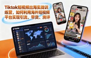 Tiktok短视频出海实战训练营，如何利用海外短视频平台实现引流、带货、测评-琴书聊项目