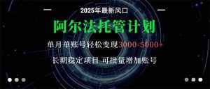 阿尔法托管计划 单账号月入3000-5000,长期稳定项目,新手小白轻松上手。-琴书聊项目