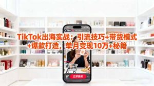「TikTok出海实战」引流技巧+带货模式+爆款打造,单月变现10万+秘籍-琴书聊项目