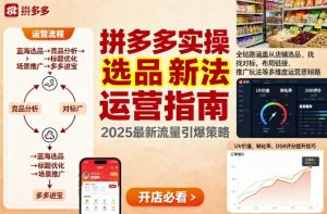 王校长9月12拼多多实操新玩法，全链路涵盖从店铺选品、找对标，布局链接，推广玩法等多维度运营思路(更新)-琴书聊项目