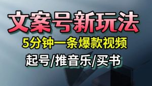 文案号新玩法，5分钟一条爆款视频，流量高，起号快，多方位变现-琴书聊项目
