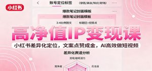 高净值IP变现课：小红书差异化定位，文案点赞成金， AI高效做短视频-琴书聊项目