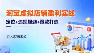 淘宝虚拟店铺盈利实战：定位+违规规避+爆款打造，月入过万很轻松！-琴书聊项目