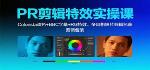 PR剪辑特效实操课:Colorista调色+BBC字幕+RG特效,多风格短片剪辑包装-琴书聊项目