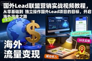 国外Lead联盟营销实战视频教程,从零基础到独立操作国外Lead项目的目标,开启海外淘金之路-琴书聊项目