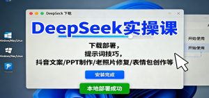 DeepSeek实操课：下载部署，提示词技巧，抖音文案/PPT制作/老照片修复/表情包创作等-琴书聊项目