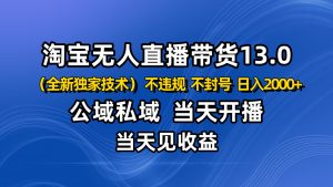 淘宝无人直播13.0,公域私域技术,不封号,不违规 布局下半年旺季赛道,日入2000+-琴书聊项目