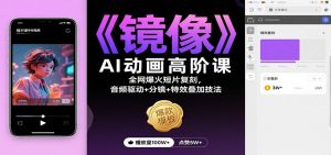 《镜像》AI动画高阶课:全网爆火短片复刻,音频驱动+分镜+特效叠加技法-琴书聊项目