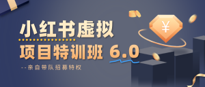 小红书虚拟项目特训班6.0 ,养号/选品/自动发货/爆款笔记(含40节视频课)-琴书聊项目