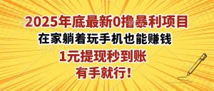 2025年底最新0撸暴利项目，在家也能躺赚，1元秒提现，有手就行！-琴书聊项目