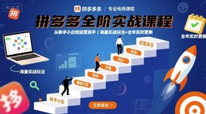 拼多多全阶实战课程，从新手小白到运营高手，海量实战玩法+全年实时更新【2025年10月更新】-琴书聊项目