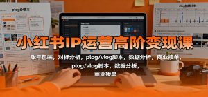 小红书IP运营高阶变现课：账号包装，对标分析，plog/vlog脚本，数据分析，商业接单-琴书聊项目
