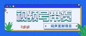 微信视频号带货项目,轻松日赚赚2000+,这个挣钱入口很多伙伴都在闷声发财-琴书聊项目