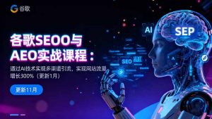 谷歌SEO与AEO实战课程：通过AI技术实现多渠道引流，实现网站流量增长300%-琴书聊项目