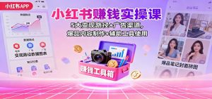 小红书赚钱实操课：5大变现路径+广告渠道，爆品内容制作+辅助工具使用-琴书聊项目