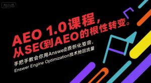AEO 1.0 课程，从SEO到AE0的基命性转变，手把手教会你用AnswerEngineOptimization技术抢回流量(更新)-琴书聊项目