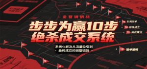 步步为赢10步绝杀成交系统，系统化解决从流量吸引到最终成交的完整链路-琴书聊项目