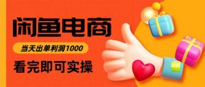 闲鱼高利润电商，当天上架当天出单，一单利润300-琴书聊项目