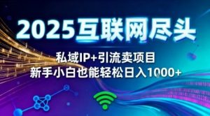 2025网创尽头王炸项目!私域IP+精准引流,新手小白在家躺賺日入1k,零经验也能上手【揭秘】-琴书聊项目