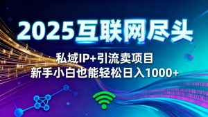 2025网创尽头王炸项目!私域 IP + 精准引流,新手小白在家躺赚日入 1000+-琴书聊项目