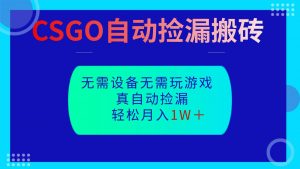 CSGO自动捡漏搬砖,当天操作当天见结果,无需了解游戏,包教包会包落地-琴书聊项目