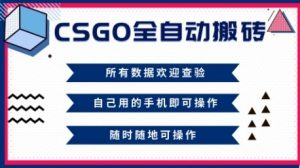 CSGO全自动搬砖，年底钱回家好项目，当天可拿到结果，新手小白轻松月入1W+【揭秘】-琴书聊项目