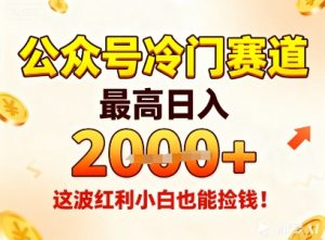 公众号冷门赛道，最高日入1k+，这波红利小白也能捡钱！-琴书聊项目