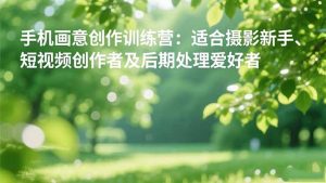 手机摄影之画意创作训练营：适合摄影新手、短视频创作者及后期处理爱好者-琴书聊项目