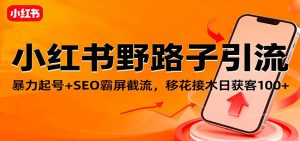 小红书野路子引流，暴力起号+SEO霸屏截流，移花接木日获客100+-琴书聊项目