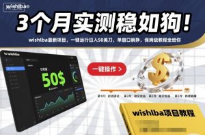 3个月实测稳如狗！wishlba最新项目，一键运行日入50美刀，单窗口躺挣，保姆级教程全给你【揭秘】-琴书聊项目