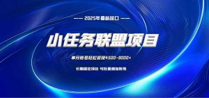 小任务联盟项目：一台电脑每天只需10分钟，轻松简单稳定-琴书聊项目
