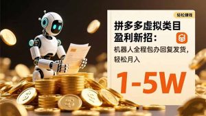 拼多多虚拟类目盈利新招：机器人全程包办回复发货，轻松月入 1-5W-琴书聊项目