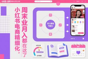 小红书电商精细化运营全流程，周末副业月入1W+，全套方法都在这了-琴书聊项目